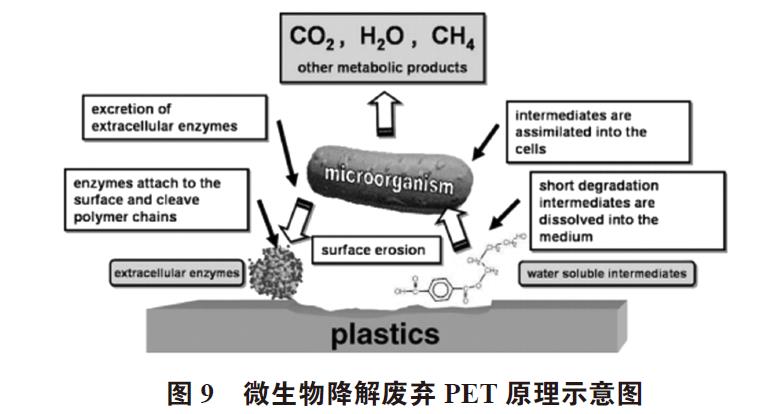 廢棄PET塑料包裝瓶的處理及再生資源化技術研究進展